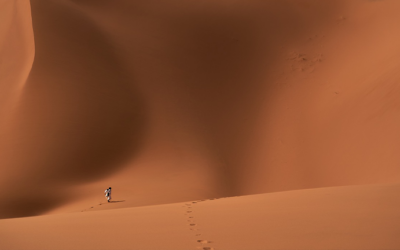 Was ist der Unterschied zwischen Hadith und Sunna?