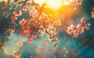 Rabi‘ al-Awwal („Der erste Frühling“)
