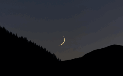 Gottesdienste & Gebete in der lailat al-qadr (Nacht der Bestimmung)